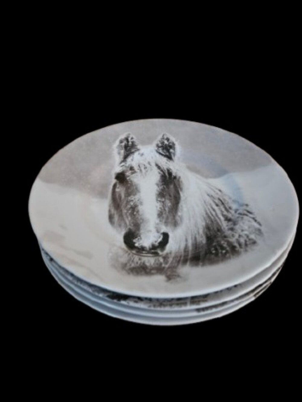*PIER 1 Imports Snow Forest Winter Animal Salad/Appetizer Plates Set Of 4